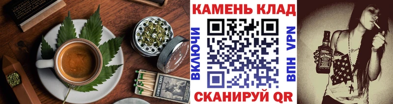 Купить где  Кущёвская  Canna-Cookies конопля 