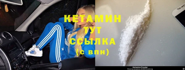 шишки Вязьма