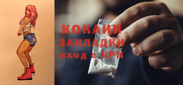 шишки Вязьма