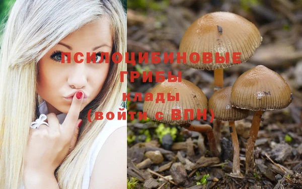 кокаин колумбия Вяземский
