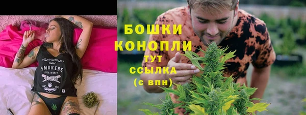 шишки Вязьма