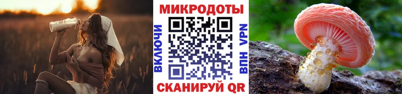Купить  Кущёвская  Галлюциногенные грибы Psilocybine cubensis 