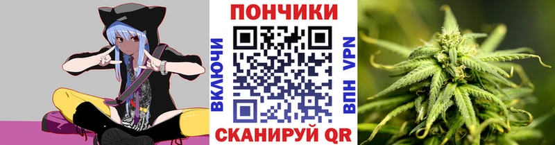 Канабис план Кущёвская